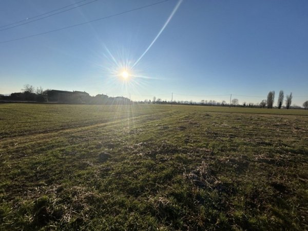terreno agricolo in vendita a Campodoro