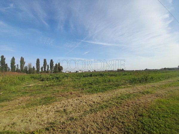 terreno agricolo in vendita a Campodoro in zona Bevadoro