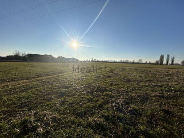 negozio in vendita a Campodoro