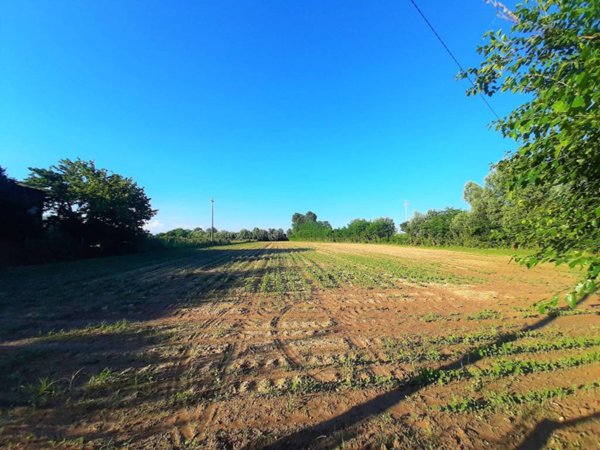 terreno agricolo in vendita a Campodoro in zona Bevadoro