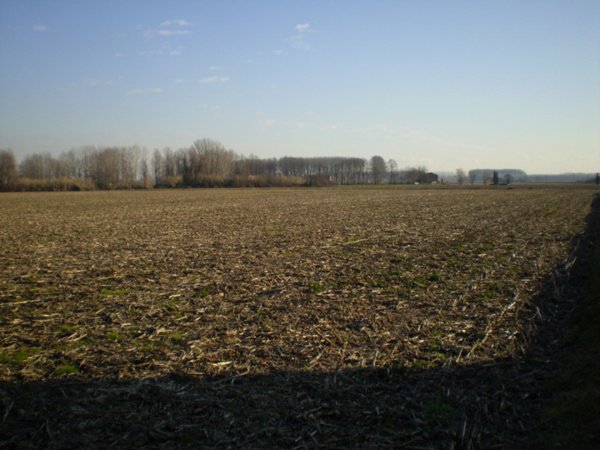 terreno industriale in vendita a Camposampiero