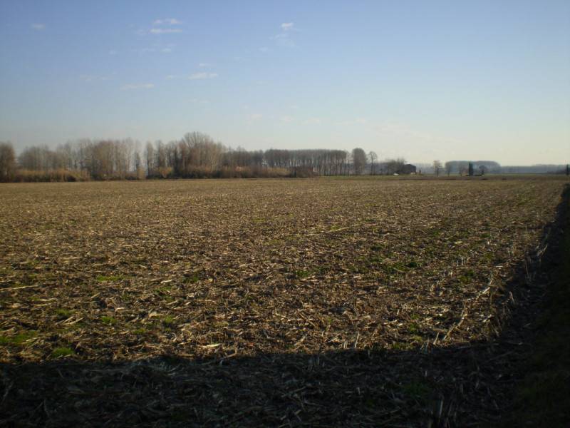 terreno industriale in vendita a Camposampiero