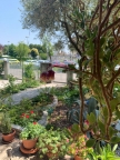 casa indipendente in vendita a Camposampiero