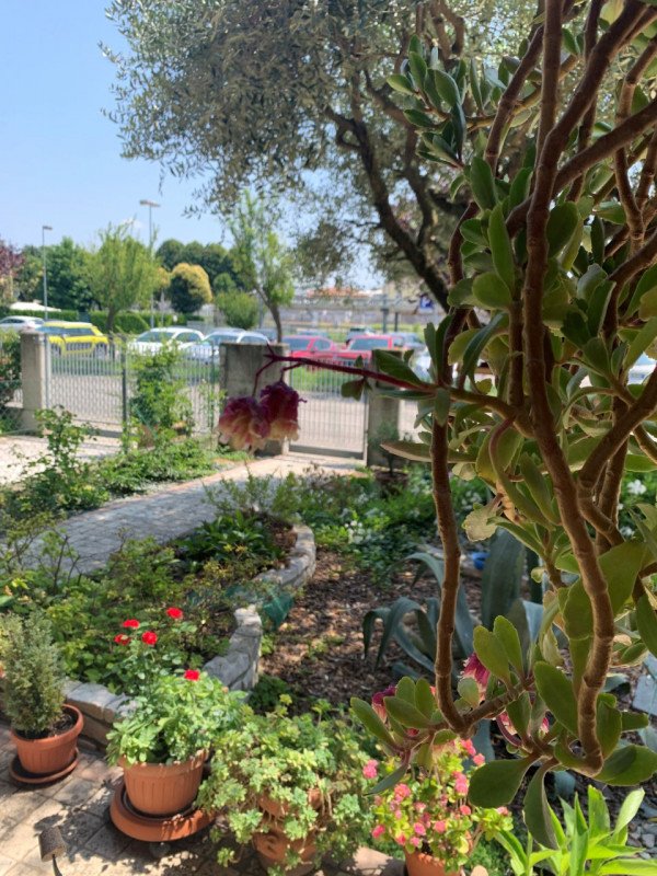 casa indipendente in vendita a Camposampiero