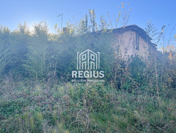 terreno agricolo in vendita a Camposampiero