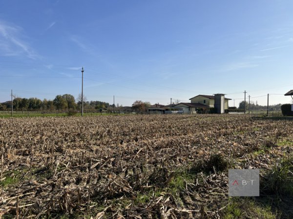 terreno agricolo in vendita a Camposampiero