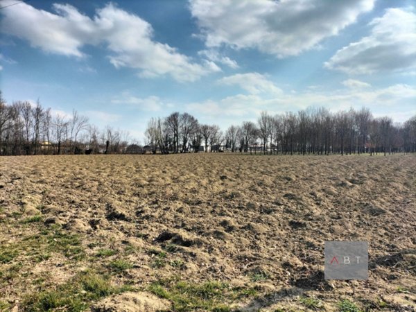terreno agricolo in vendita a Camposampiero