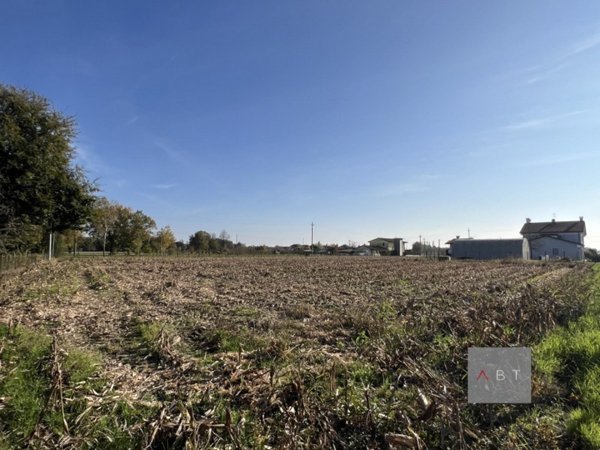 terreno agricolo in vendita a Camposampiero