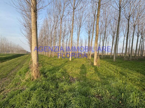 terreno agricolo in vendita a Camposampiero