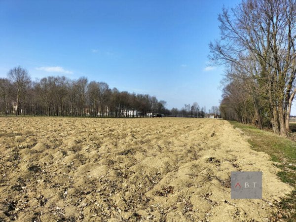 terreno agricolo in vendita a Camposampiero