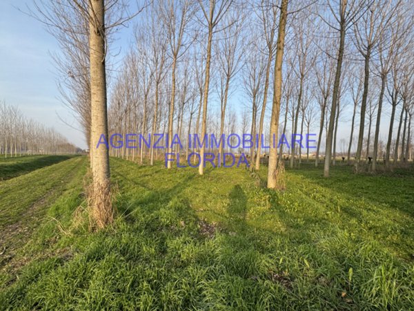terreno agricolo in vendita a Camposampiero