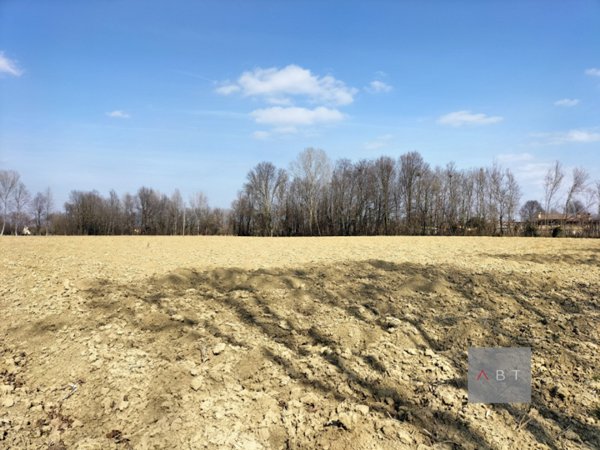 casa indipendente in vendita a Camposampiero