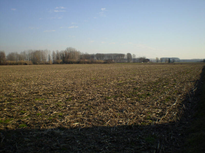 terreno edificabile in vendita a Camposampiero