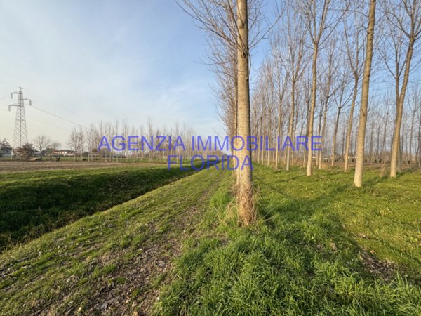 terreno agricolo in vendita a Camposampiero