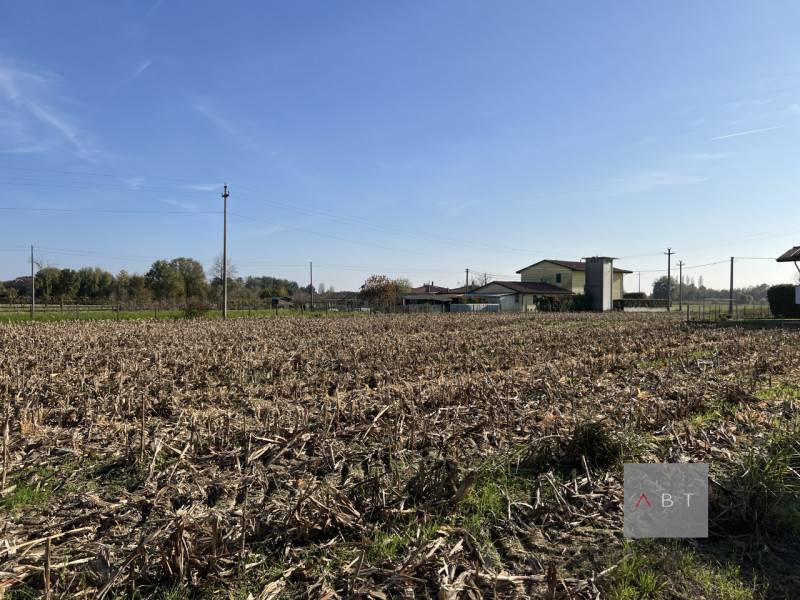 terreno agricolo in vendita a Camposampiero