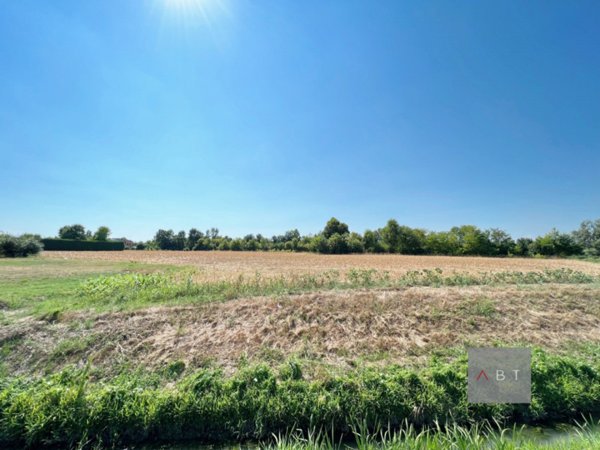 terreno agricolo in vendita a Campo San Martino in zona Marsango