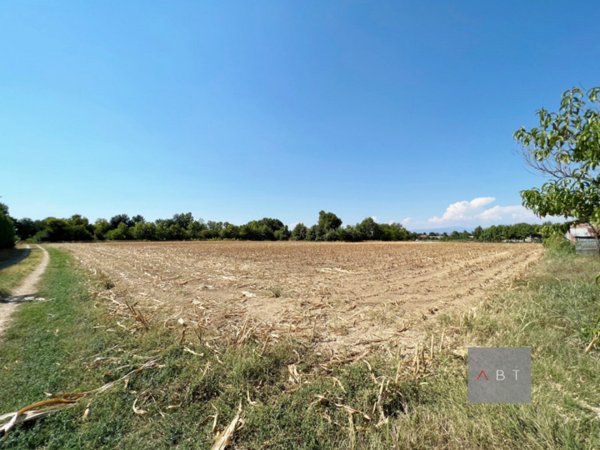 terreno agricolo in vendita a Campo San Martino in zona Marsango