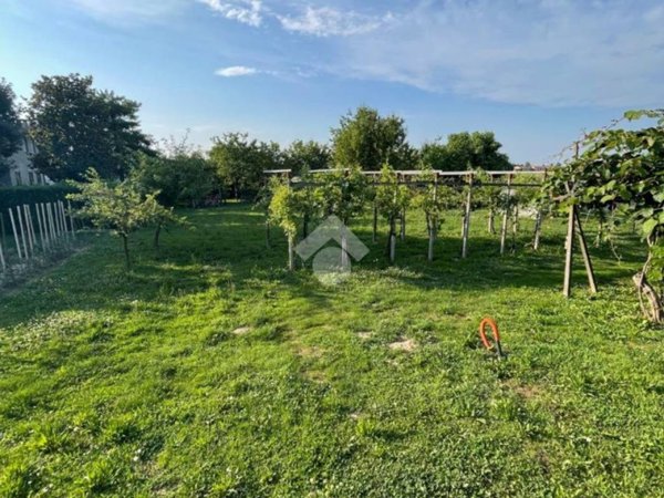 terreno agricolo in vendita a Campo San Martino