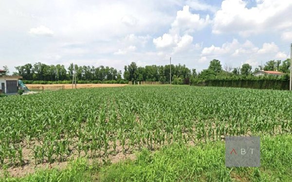 terreno agricolo in vendita a Campo San Martino