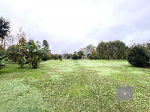 terreno agricolo in vendita a Campo San Martino in zona Busiago