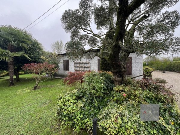 casa indipendente in vendita a Campo San Martino in zona Busiago