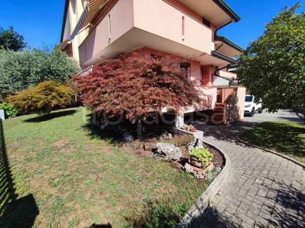 casa indipendente in vendita a Campo San Martino in zona Marsango