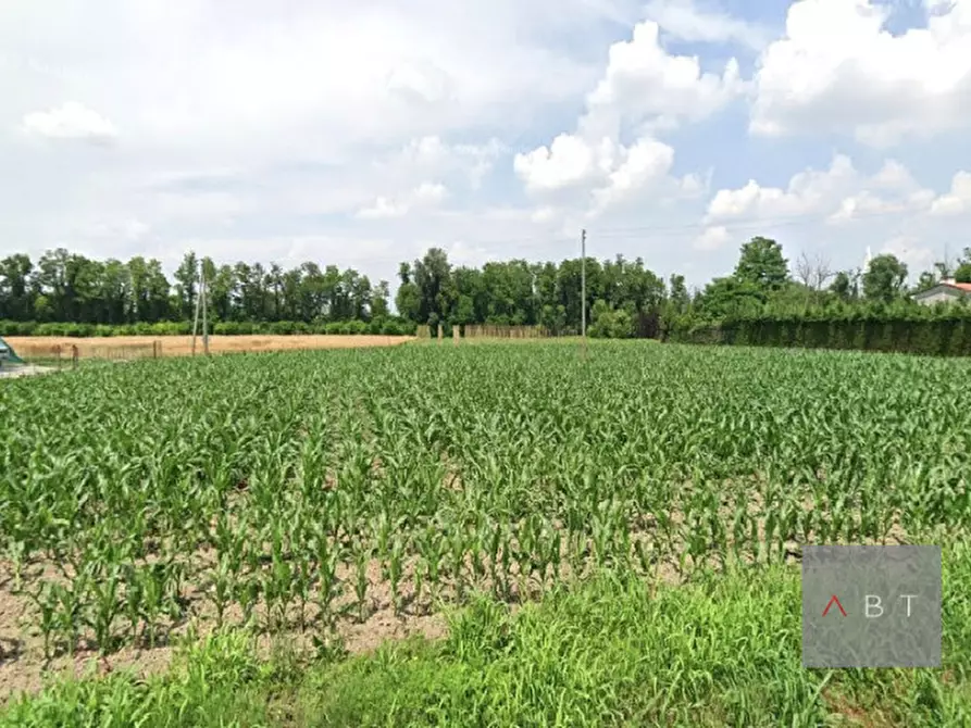 attico in vendita a Campo San Martino