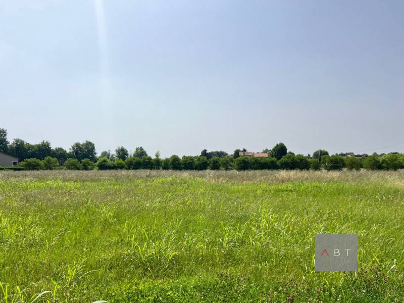 terreno in vendita a Campo San Martino in zona Busiago