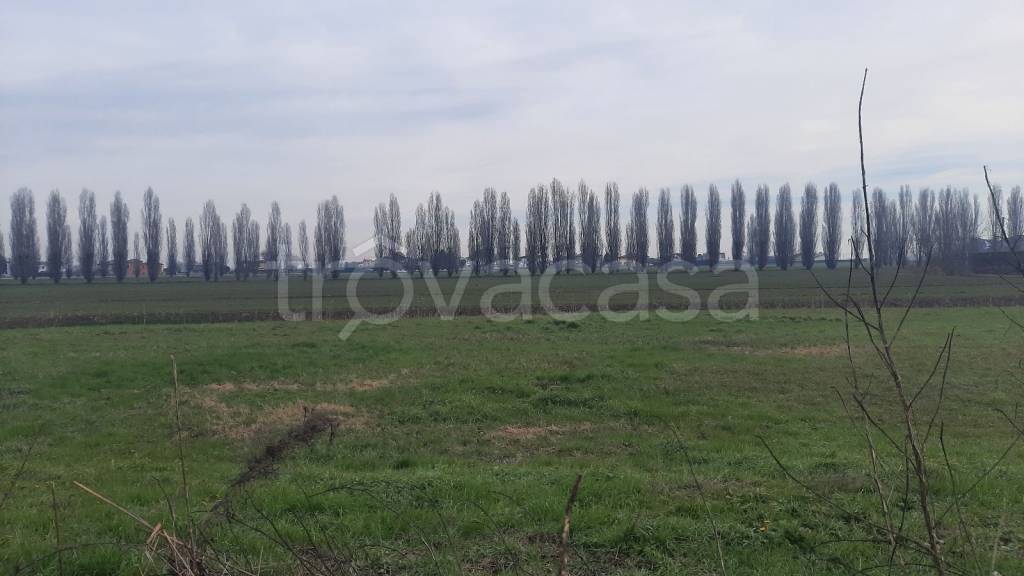 terreno edificabile in vendita a Candiana
