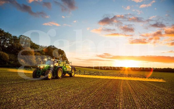 terreno agricolo in vendita a Candiana