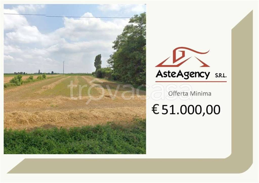 terreno agricolo in vendita a Candiana