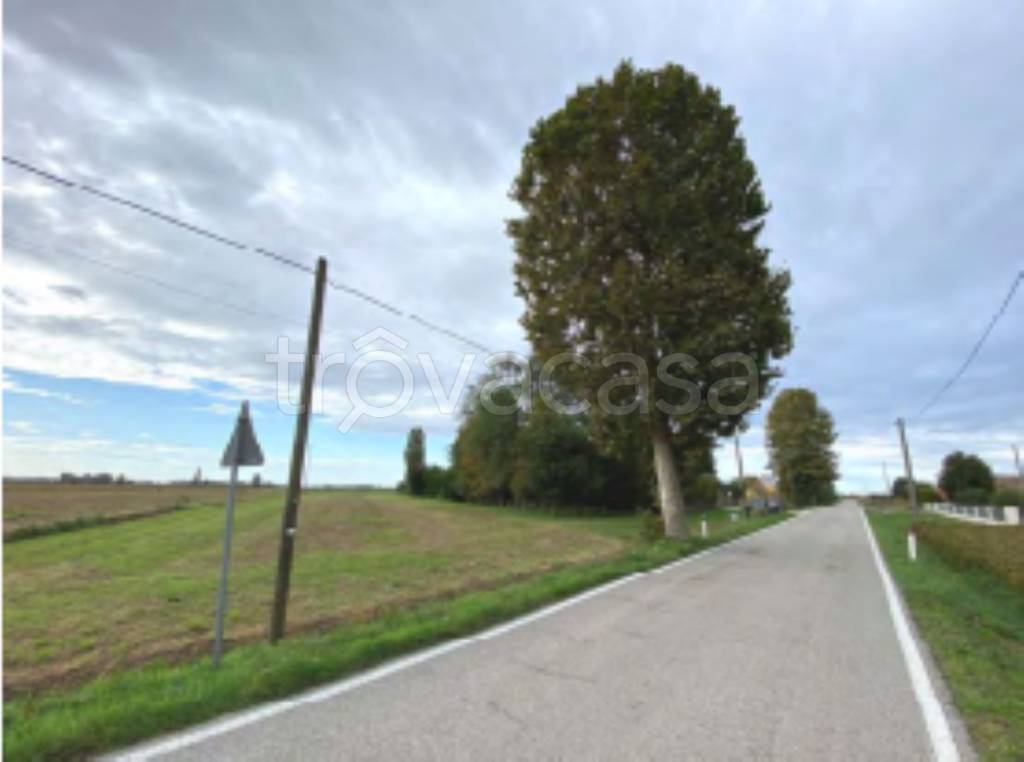 terreno agricolo in vendita a Candiana