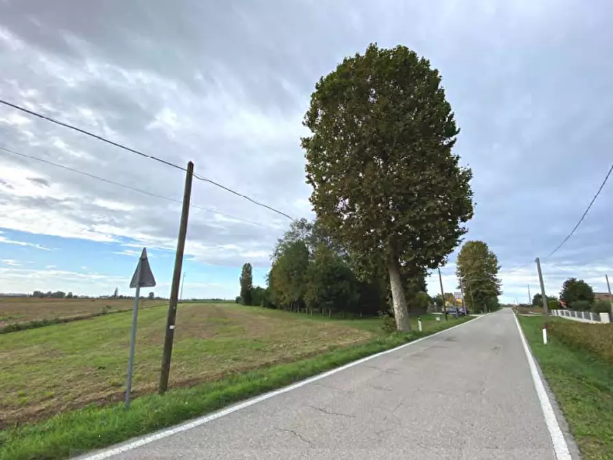 terreno agricolo in vendita a Candiana