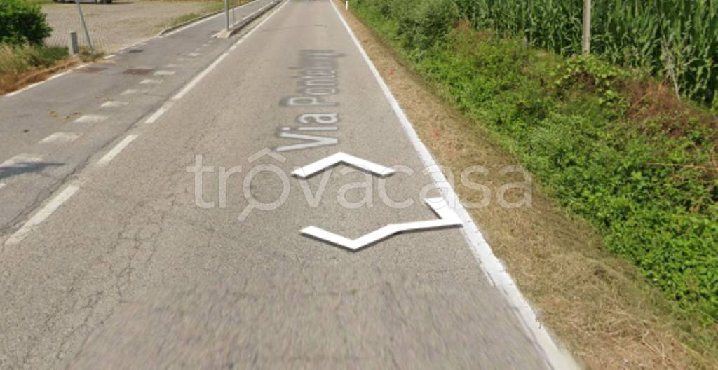 terreno agricolo in vendita a Candiana