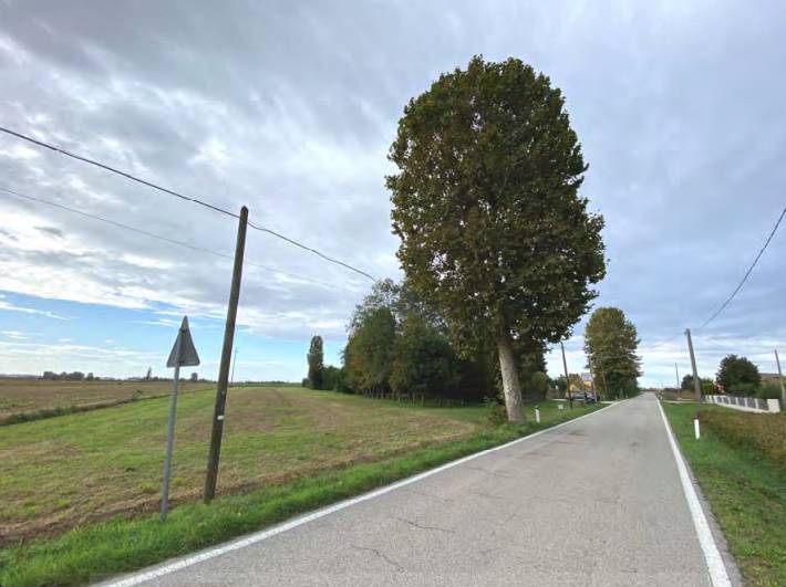 terreno agricolo in vendita a Candiana