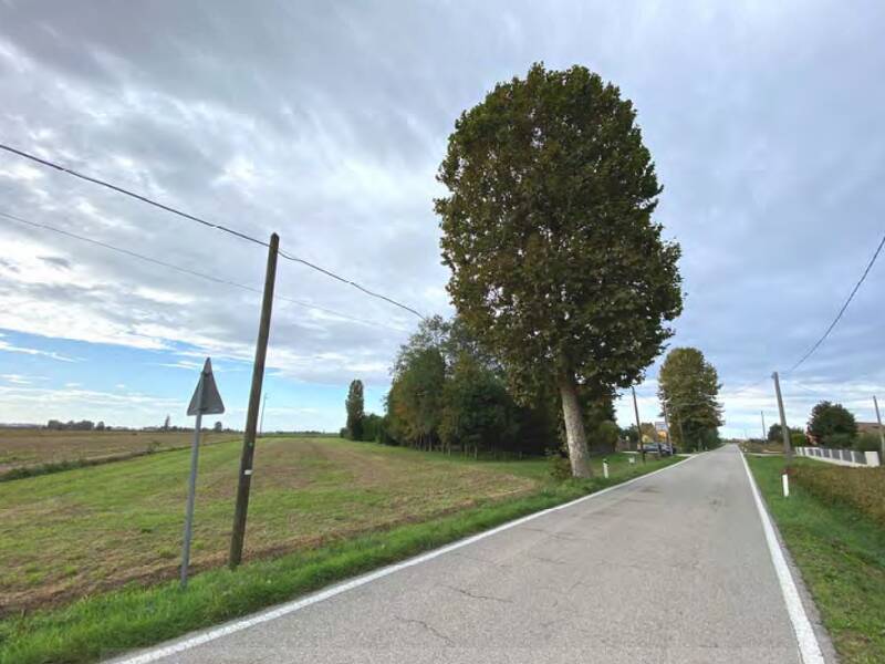 terreno agricolo in vendita a Candiana