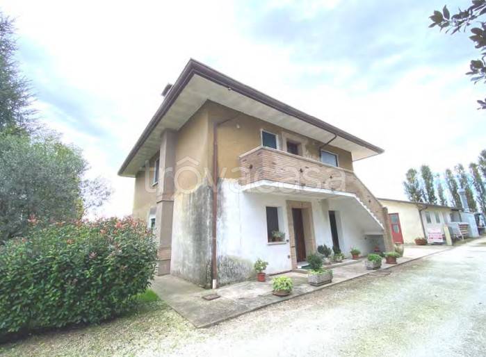 appartamento in vendita a Candiana