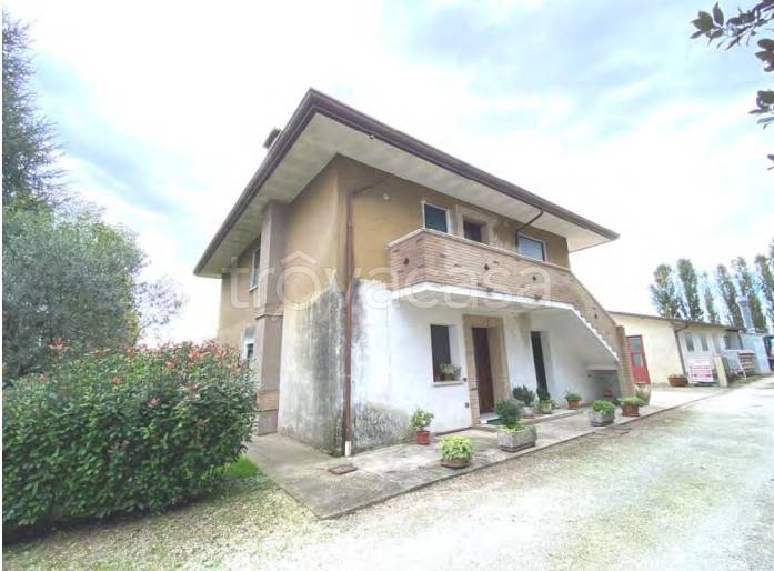 appartamento in vendita a Candiana