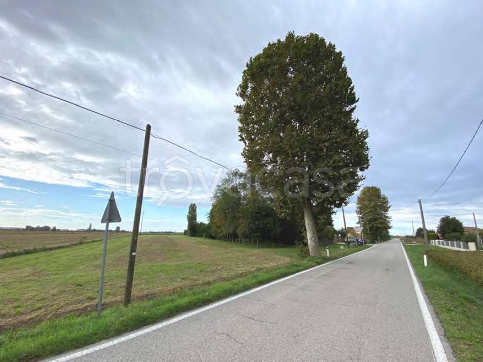 terreno agricolo in vendita a Candiana