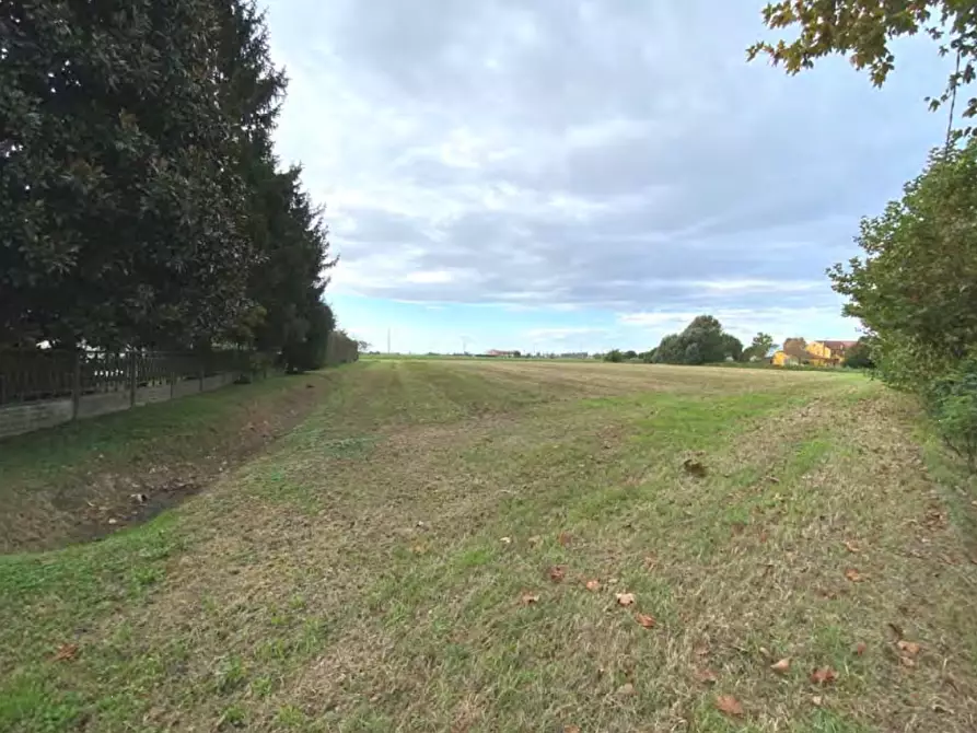 terreno agricolo in vendita a Candiana