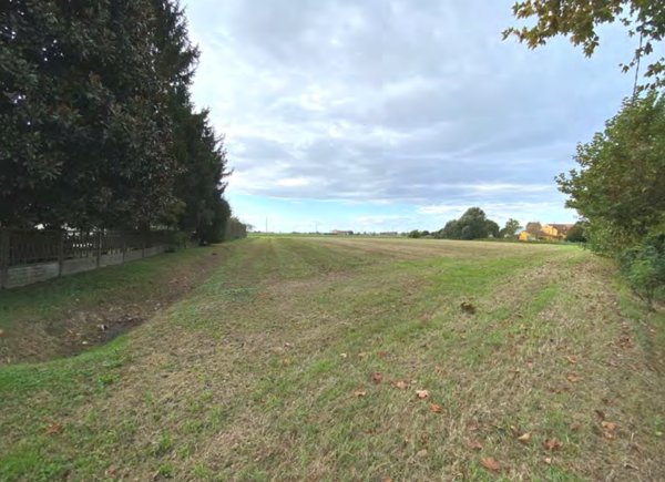 terreno agricolo in vendita a Candiana