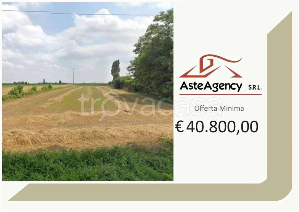 terreno agricolo in vendita a Candiana