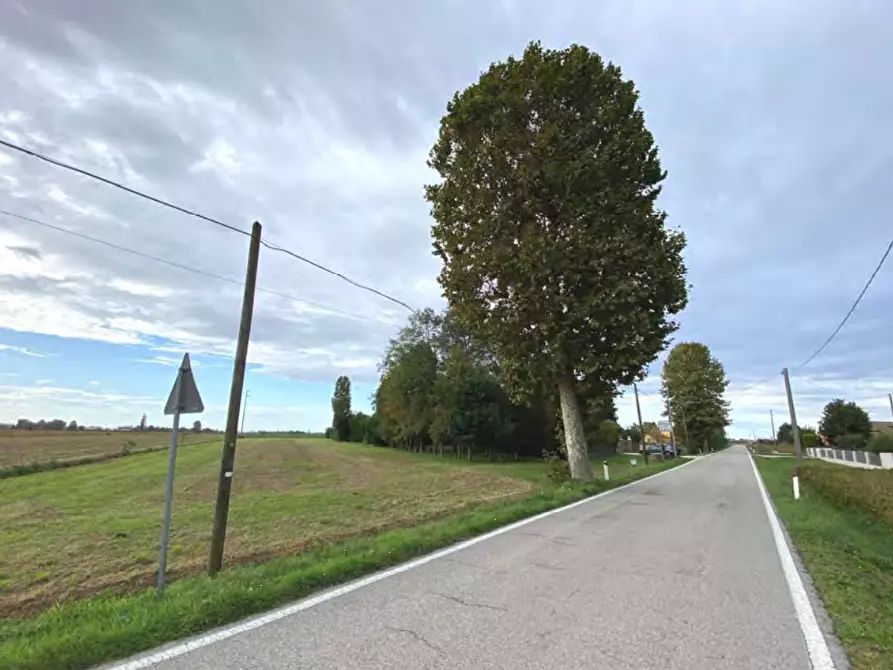 terreno agricolo in vendita a Candiana