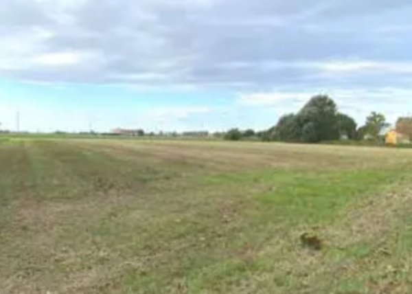 terreno agricolo in vendita a Candiana