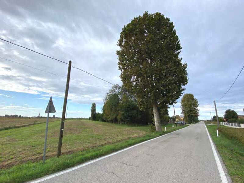 terreno agricolo in vendita a Candiana