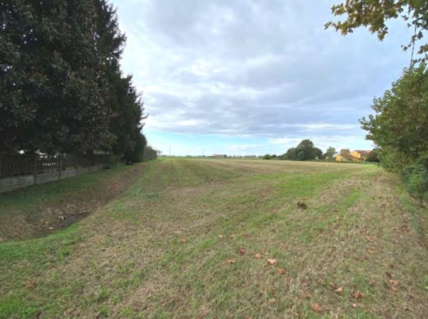 terreno agricolo in vendita a Candiana