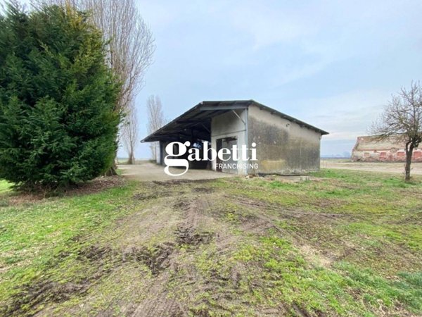 terreno agricolo in vendita a Candiana