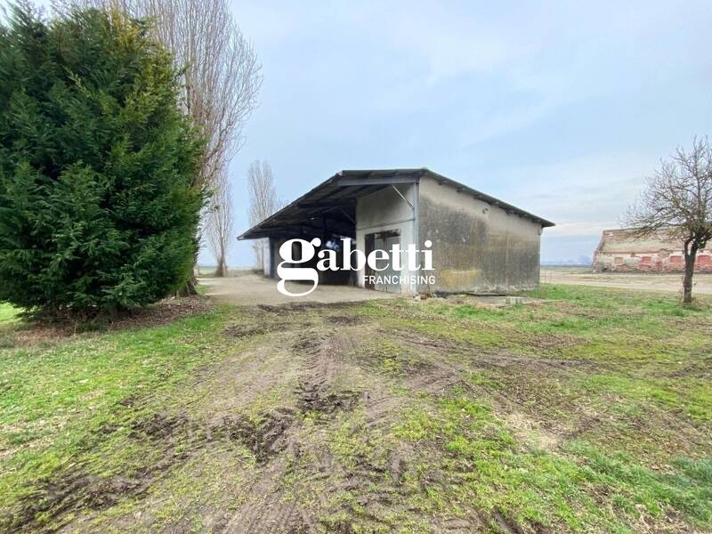 terreno agricolo in vendita a Candiana