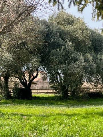 casa indipendente in vendita a Candiana