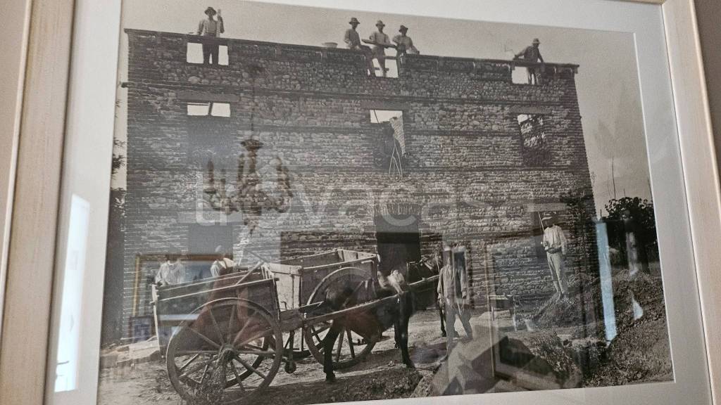 casa indipendente in vendita a Carmignano di Brenta